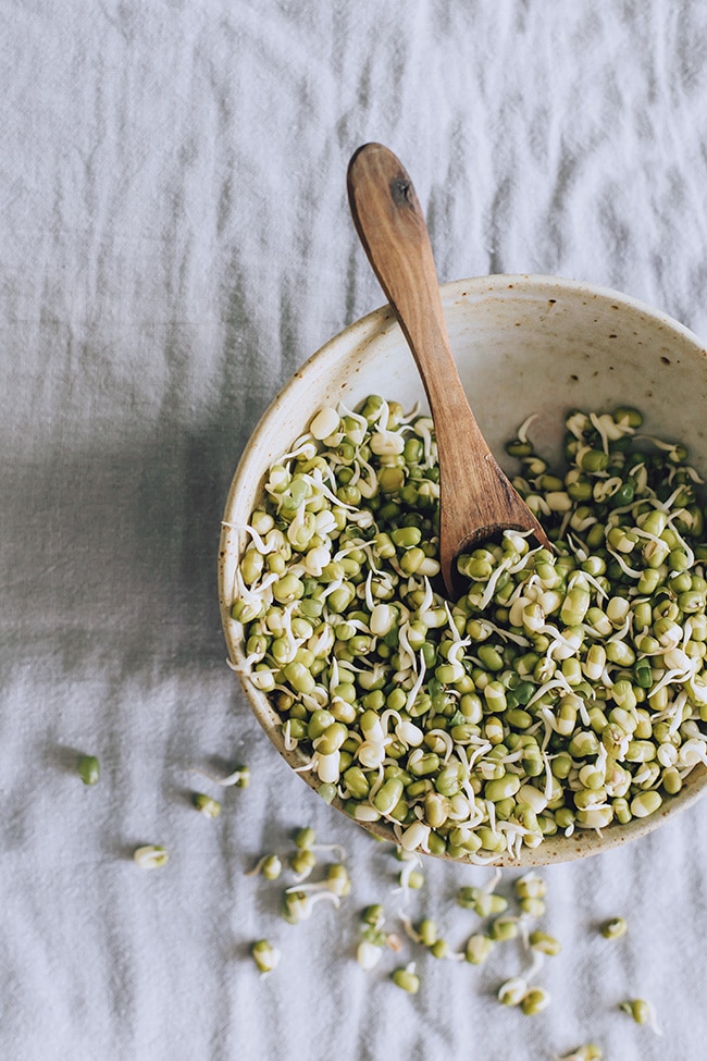 Sprouted mung beans | TheAwesomeGreen.com