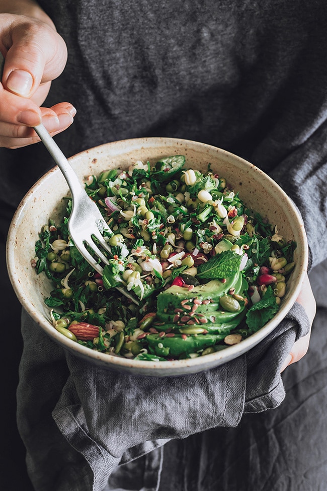 Mung sprouts detox salad for an easy season transition #detox #raw | TheAwesomeGreen.com